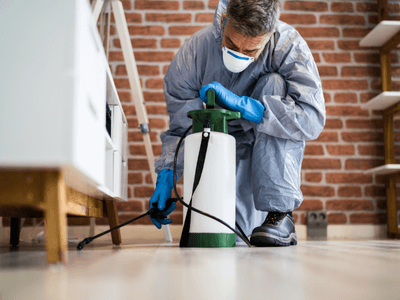 About Ant & Rodent Pest Control Frisco - pest control experts in Frisco